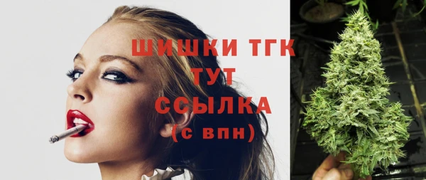 крисы Нея