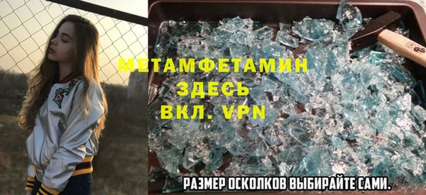 прущие грибы Наволоки