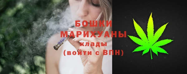 прущие грибы Наволоки