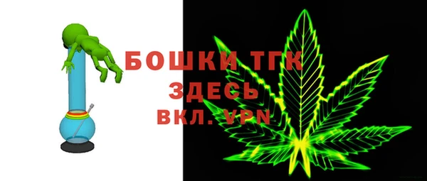 прущие грибы Наволоки