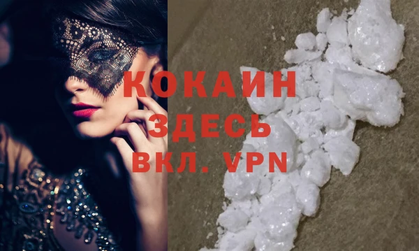 прущие грибы Наволоки