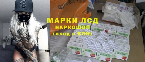 прущие грибы Наволоки