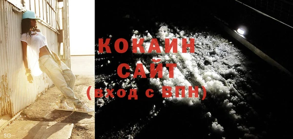 крисы Нея