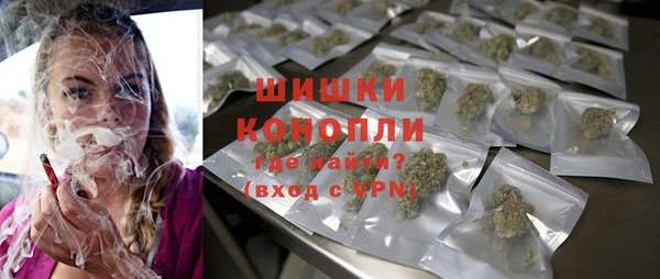 прущие грибы Наволоки