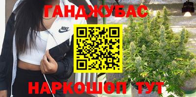 гидра Малгобек