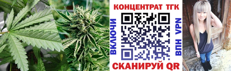 сколько стоит  Печора  Дистиллят ТГК концентрат 