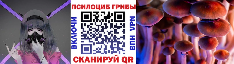 где найти   Печора  Псилоцибиновые грибы MAGIC MUSHROOMS 