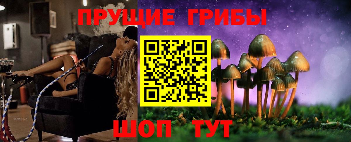 Печора  Псилоцибиновые грибы ЛСД  Вход с VPN 