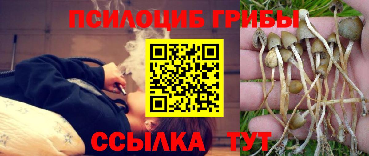 Галлюциногенные грибы GOLDEN TEACHER Печора