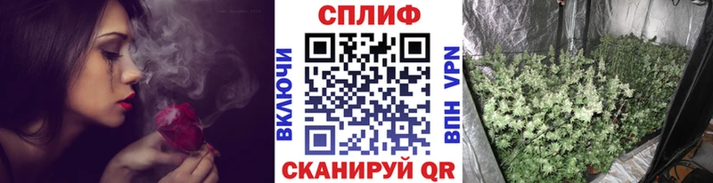 где продают   Печора  Марихуана индика 